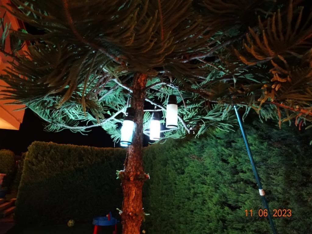 Surya Butik Hotel Alaçatı Buitenkant foto